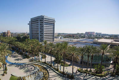 Anaheim, Body Shop, car wraps, Custom Wheels and Tires, Suspension Modifications, Professional Ceramic Window Tinting